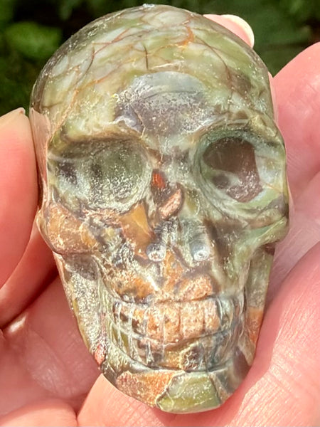 Money Agate Skull