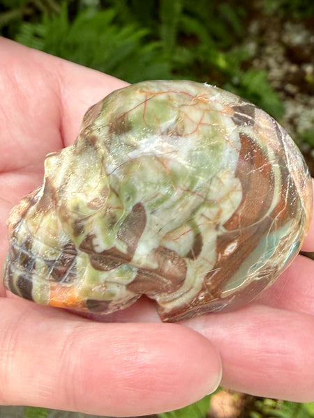 Money Agate Skull