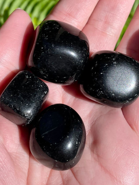 Black Obsidian Tumbled Stones - Morganna’s Treasures 