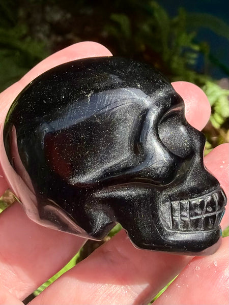 Black Obsidian Skull - Morganna’s Treasures