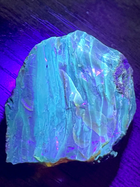 Fluorescent Blue Amber Palm Stone - Morganna’s Treasures 