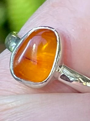 Baltic Amber Ring Size 7 - Morganna’s Treasures