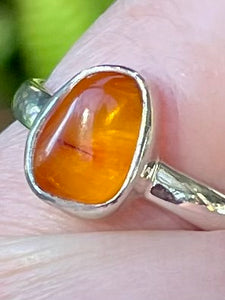 Baltic Amber Ring Size 7