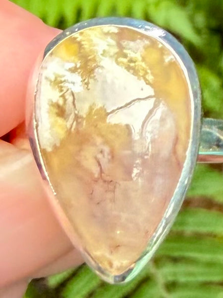 Graveyard Plume Agate Ring Size 10.5