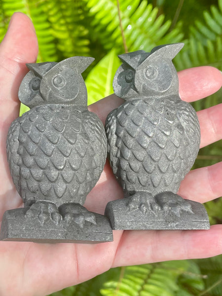 Shungite Owls - Morganna’s Treasures 