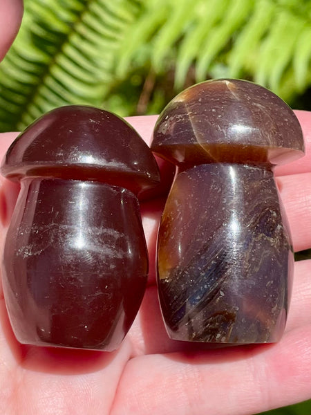 Fluorescent Blue Amber Mushroom - Morganna’s Treasures