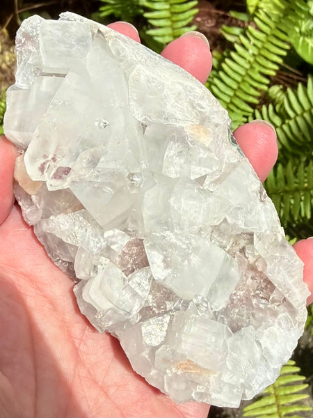 Apophyllite Cluster