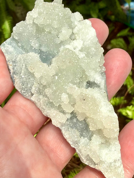 Apophyllite Cluster