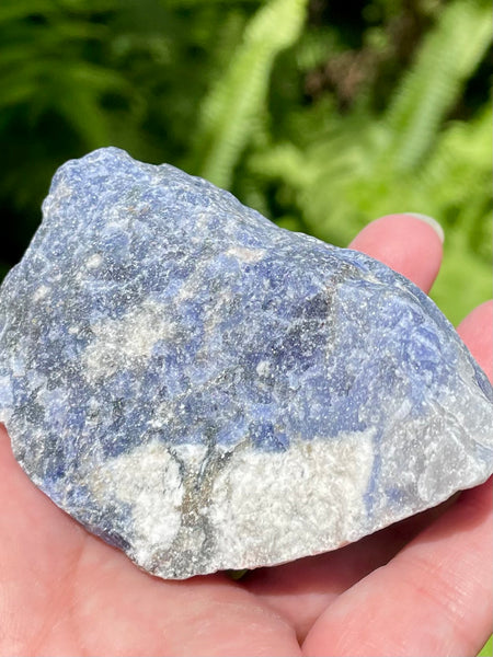 Large Rough Sodalite - Morganna’s Treasures 