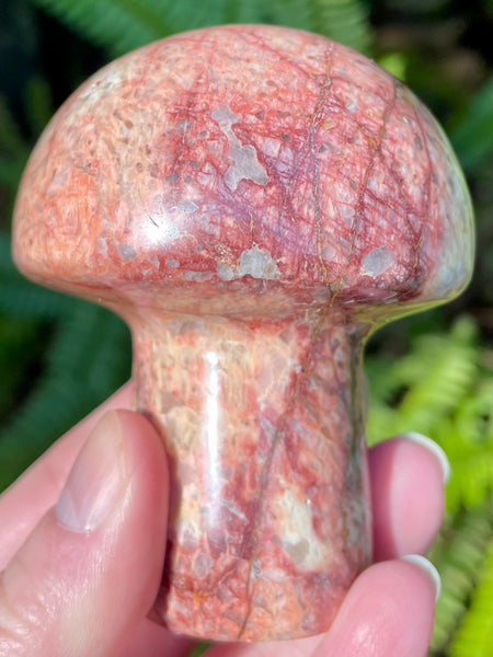 Beautiful Red Moonstone Mushroom - Morganna’s Treasures