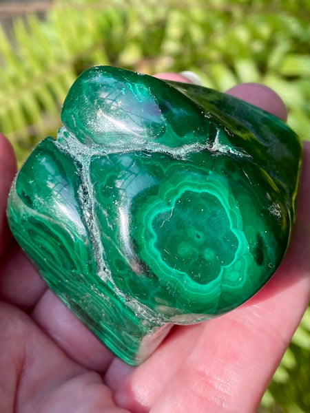 Beautiful Bulls Eye Malachite from Africa
