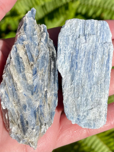 Large Rough Blue Kyanite - Morganna’s Treasures 