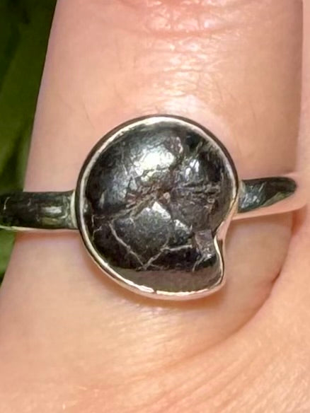 Rare Pyrite in Ammonite Ring Size 8