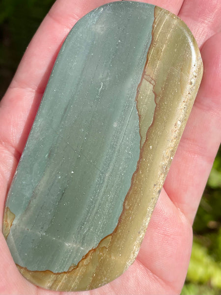 Succor Creek Picture Jasper Palm Stone - Morganna’s Treasures