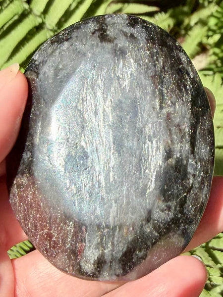 Large Astrophyllite Palm Stone