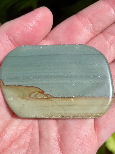 Succor Creek Picture Jasper Palm Stone - Morganna’s Treasures