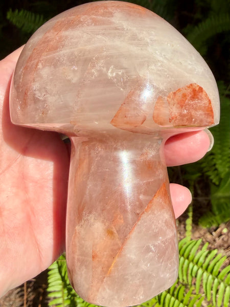 Beautiful Hematoid Quartz Mushroom - Morganna’s Treasures