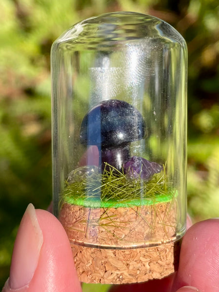 Fluorite Mushroom Terrarium