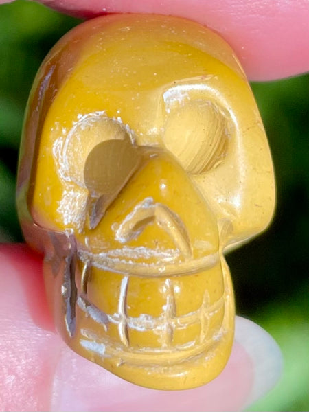 Yellow Jasper Skull - Morganna’s Treasures 