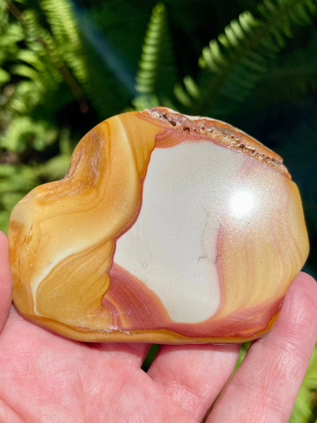 Rhyolite Palm Stone - Morganna’s Treasures 