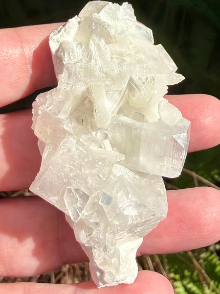Apophyllite with Stilbite Crystal Cluster - Morganna’s Treasures