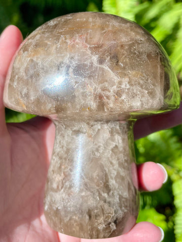 Beautiful Smoky Quartz Mushroom