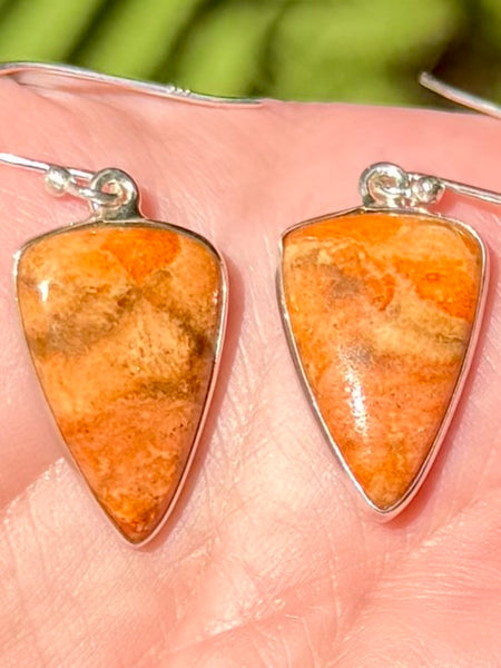 Coral Earrings
