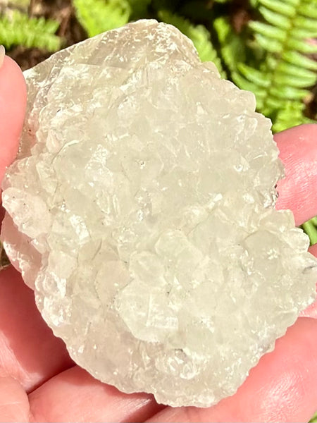 Apophyllite Cluster