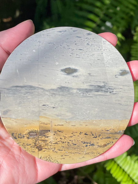Picture Jasper Charging Plate