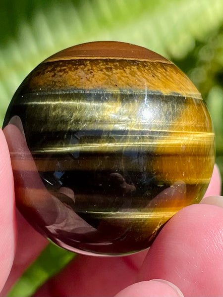 Tigers Eye Sphere - Morganna’s Treasures 