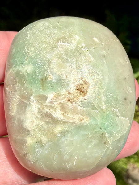 Garniérite Palm Stone