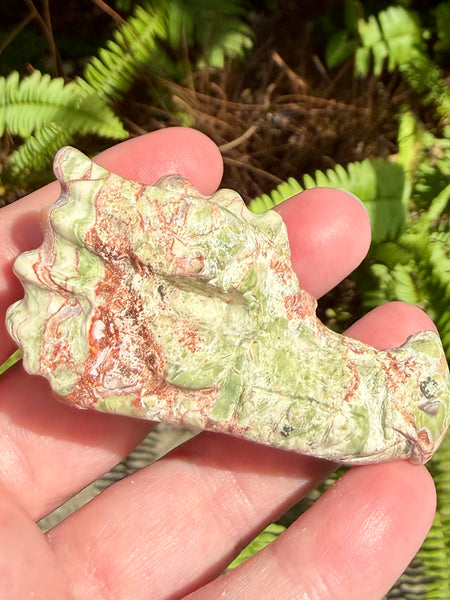 Money Agate Dragon - Morganna’s Treasures