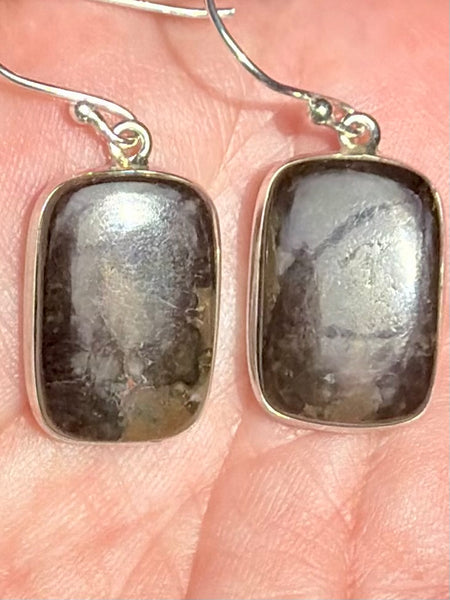 Mountain Jasper Earrings - Morganna’s Treasures