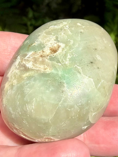 Garniérite Palm Stone