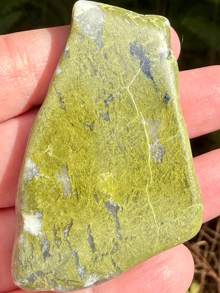 Epidote Palm Stone - Morganna’s Treasures
