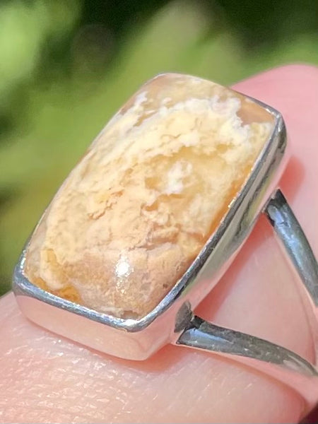 Graveyard Plume Agate Ring Size 6 - Morganna’s Treasures