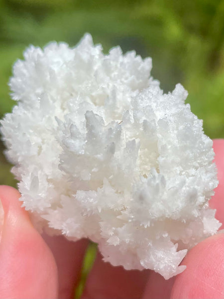 Fluorescent White Aragonite - Morganna’s Treasures 