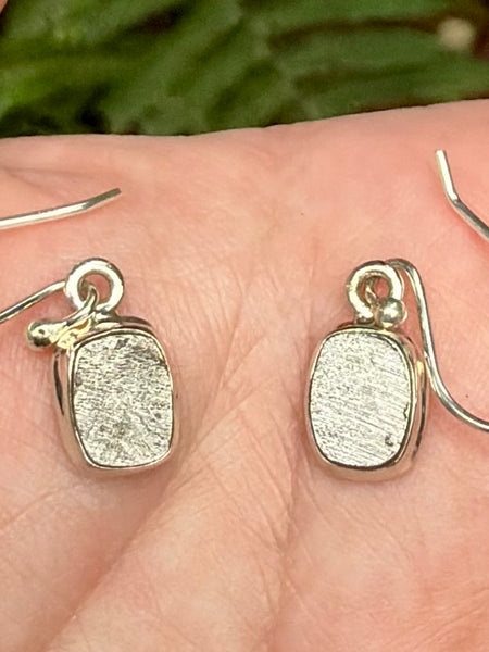 Stunning Muonionalusta Meteorite Earrings