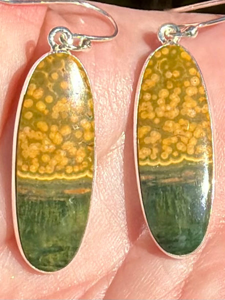 Ocean Jasper Earrings - Morganna’s Treasures