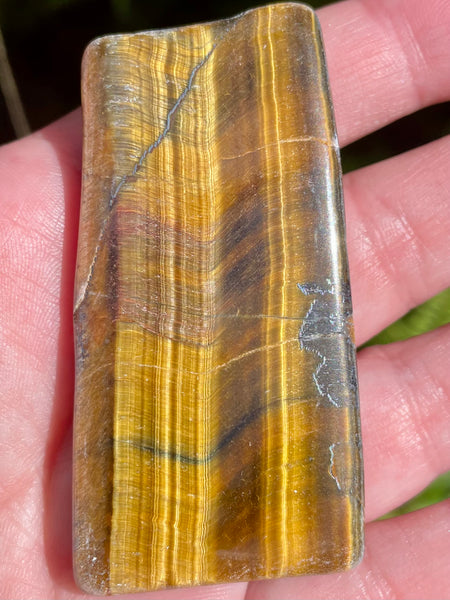 Gold Tigers Eye Palm Stone from Africa - Morganna’s Treasures