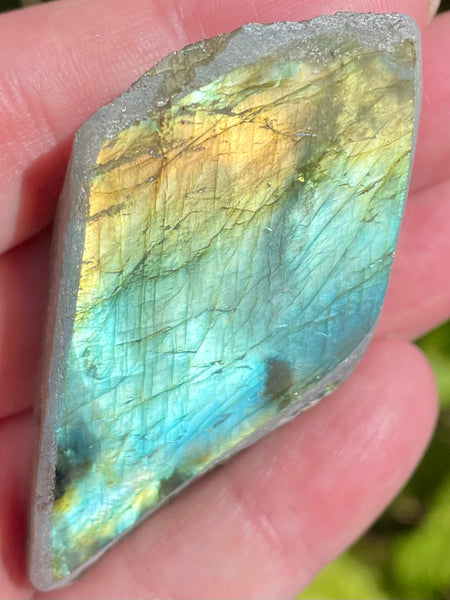 Gorgeous Labradorite Slab - Morganna’s Treasures