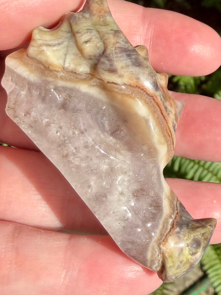 Agate Dragon - Morganna’s Treasures
