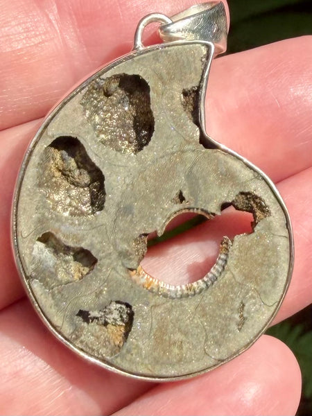 Fossil Quenstedtoceras Pyrite Ammonite Pendant - Morganna’s Treasures