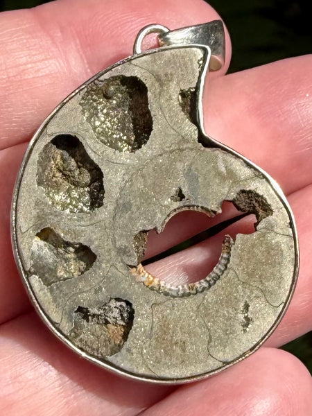 Fossil Quenstedtoceras Pyrite Ammonite Pendant - Morganna’s Treasures