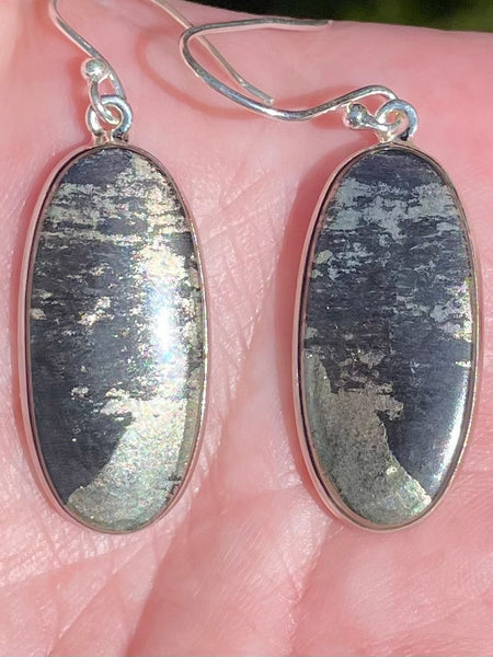 Pyrite in Magnetite (Healer's Gold) Earrings - Morganna’s Treasures