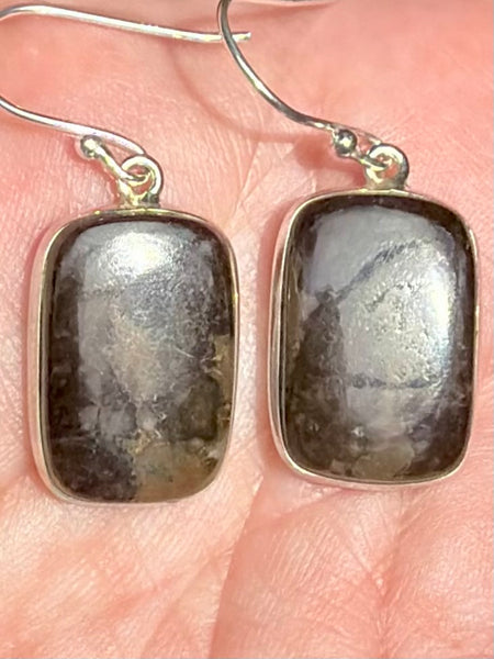 Mountain Jasper Earrings - Morganna’s Treasures