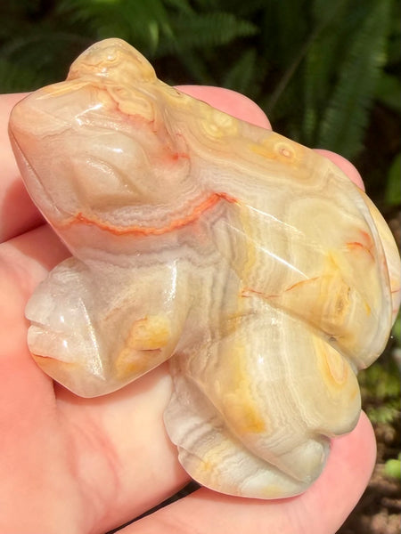 Crazy Lace Agate Frog - Morganna’s Treasures