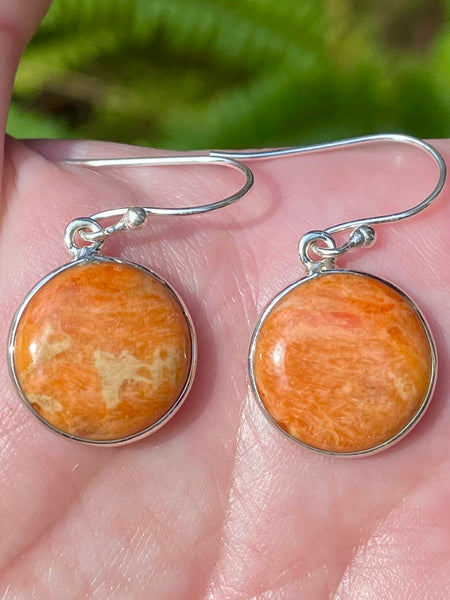 Coral Earrings - Morganna’s Treasures