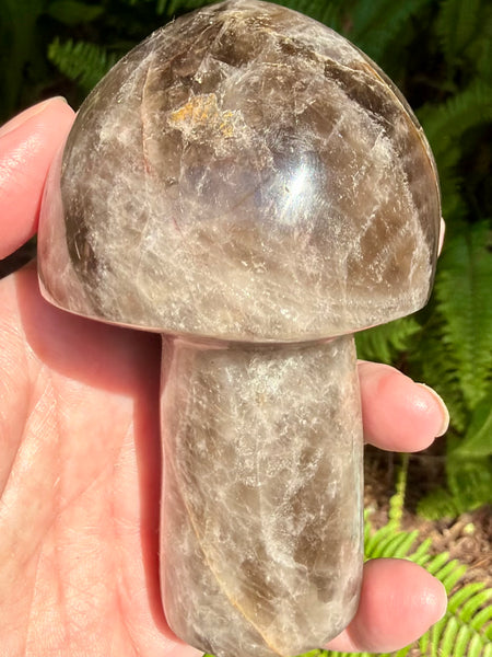 Gorgeous Smoky Quartz Mushroom - Morganna’s Treasures