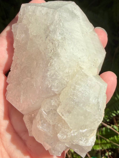 Large Apophyllite Cluster - Morganna’s Treasures